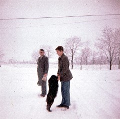 Bruce, Dan Dorrough